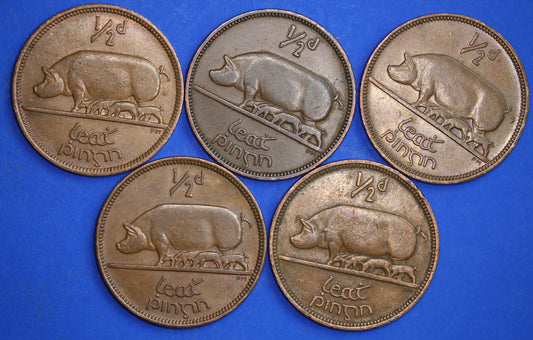 GENUINE Collection 5 Irish Half Penny Pennies 1/2d EIRE Ireland coins, different dates, Sow & Piglets [01/24 29317]