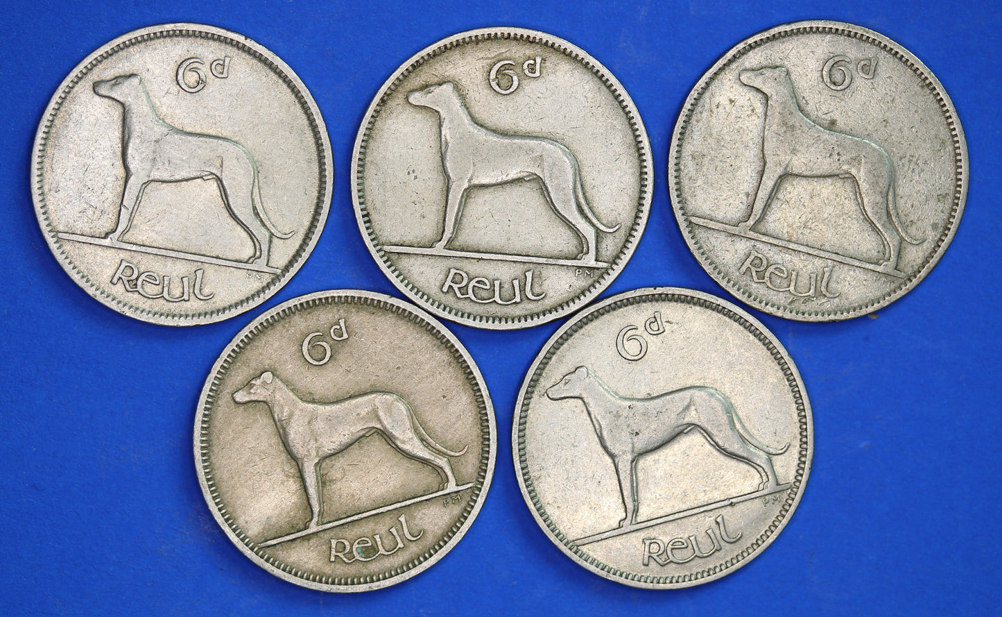 GENUINE 5 Irish Sixpences 6d Ireland EIRE Irish Wolfhound coins, various dates [08/24 30751]