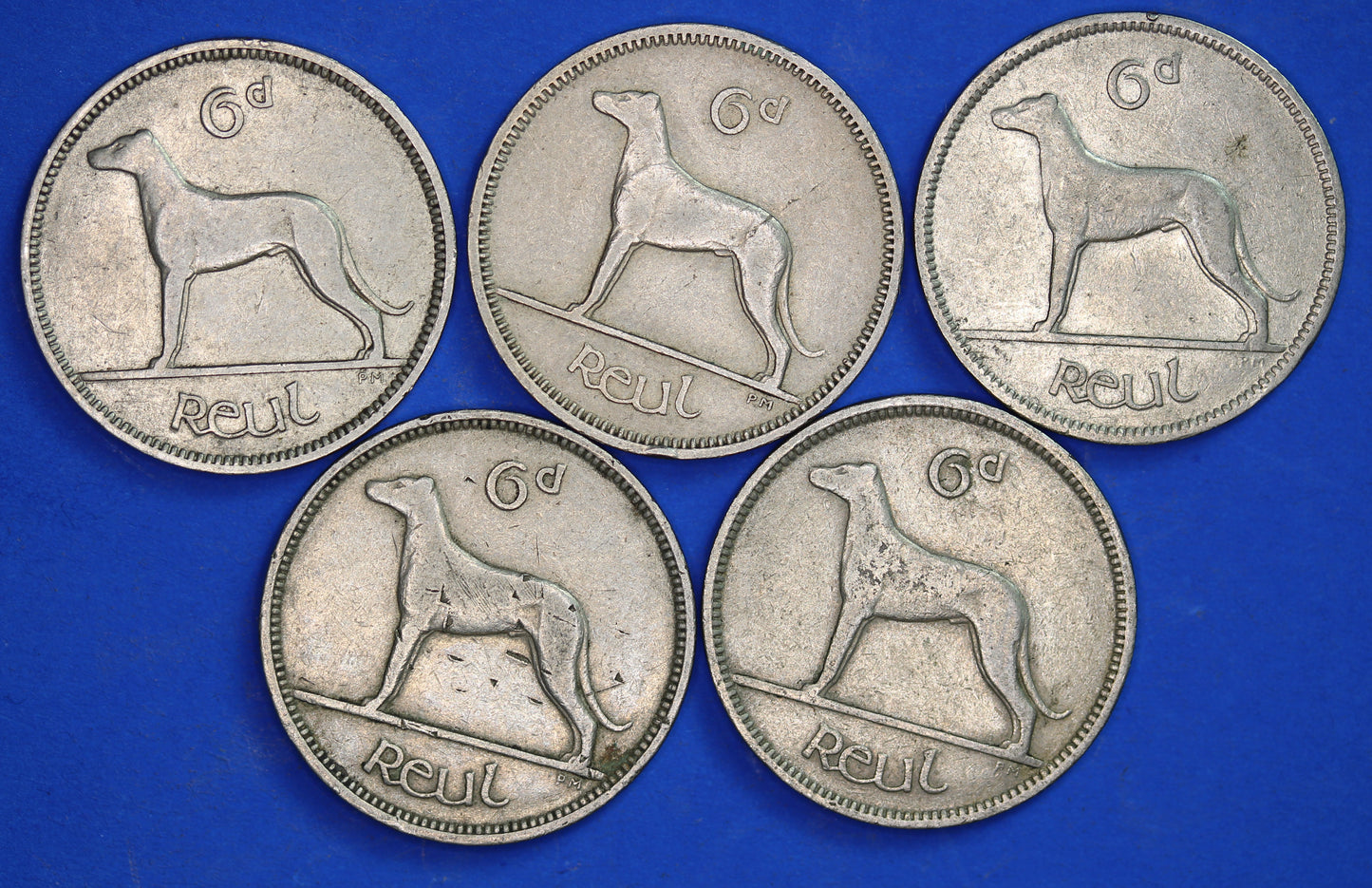 GENUINE 5 Irish Sixpences 6d Ireland EIRE Irish Wolfhound coins, various dates [08/24 30752]