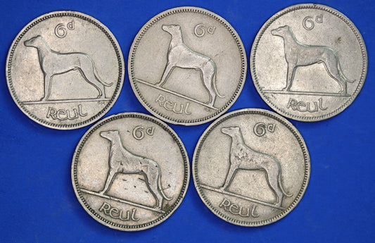 GENUINE 5 Irish Sixpences 6d Ireland EIRE Irish Wolfhound coins, various dates [08/24 30752]