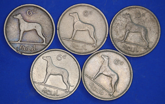 GENUINE 5 Irish Sixpences 6d Ireland EIRE Irish Wolfhound coins, various dates [08/24 30755]