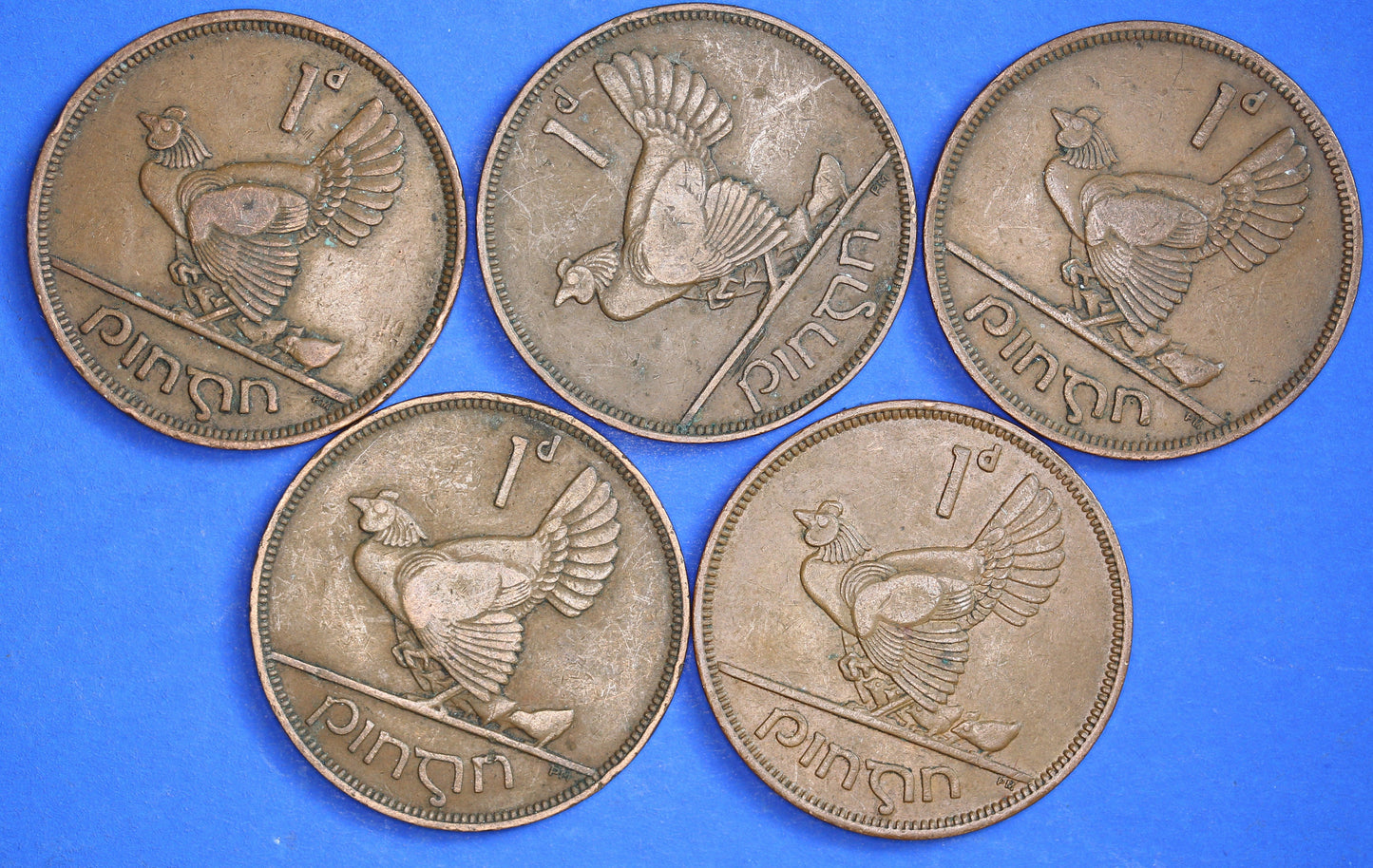 GENUINE Collection Irish Penny 1d EIRE Ireland coins, Hen with chicks, different dates [R04/25 29899]