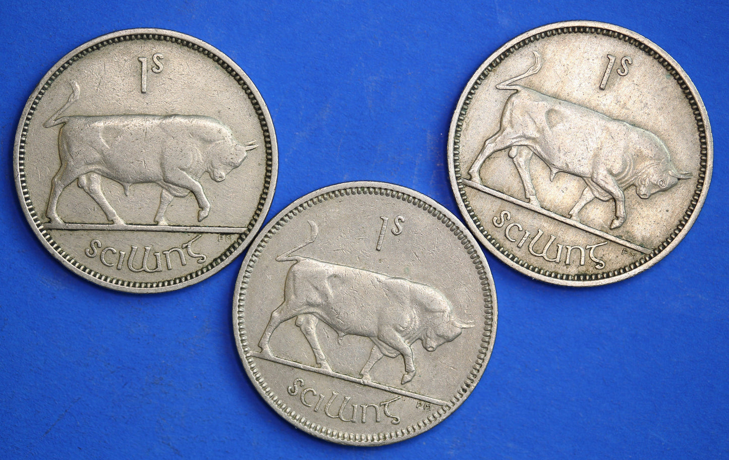 GENUINE Irish shillings Ireland EIRE coins, Various Dates, Bull Coins [R04/25 29921]