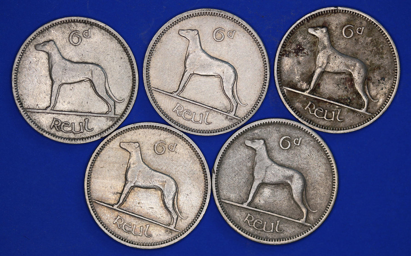 GENUINE 5 Irish Sixpences 6d Ireland EIRE Irish Wolfhound coins, various dates [08/24 30756]