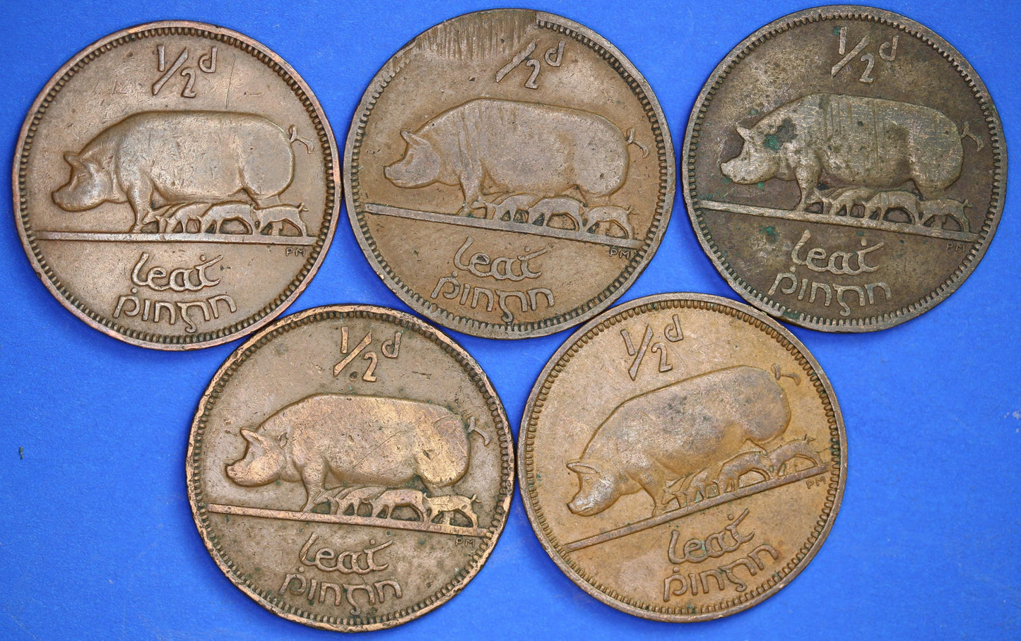 GENUINE Collection 5 Irish Half Penny Pennies 1/2d EIRE Ireland coins, different dates, Sow & Piglets [08/24 30760]