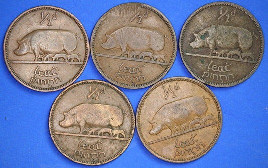 GENUINE Collection 5 Irish Half Penny Pennies 1/2d EIRE Ireland coins, different dates, Sow & Piglets [08/24 30760]