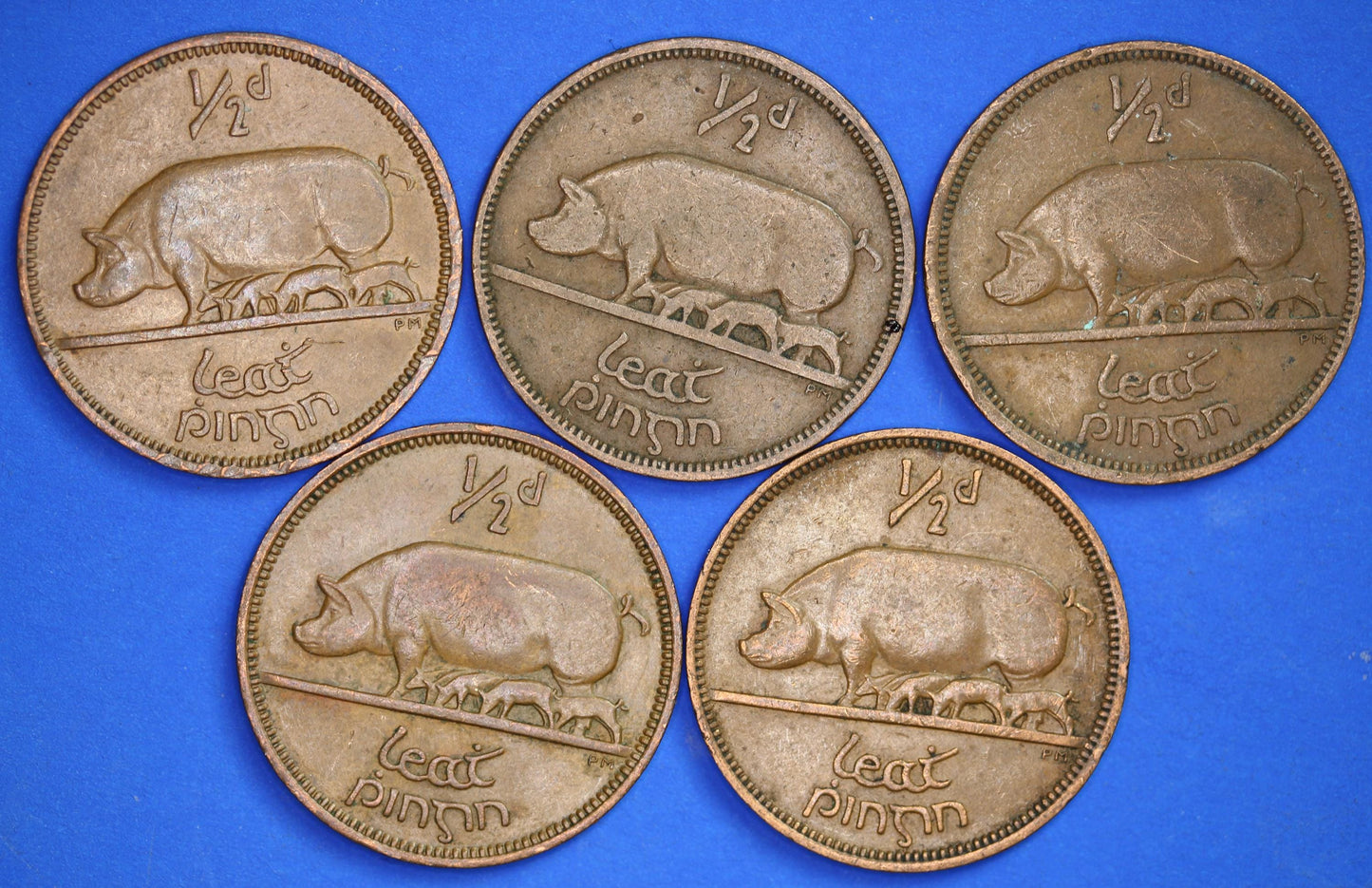 GENUINE Collection 5 Irish Half Penny Pennies 1/2d EIRE Ireland coins, different dates, Sow & Piglets [08/24 30759]