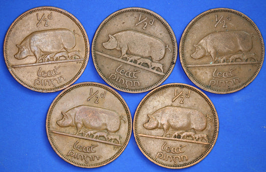 GENUINE Collection 5 Irish Half Penny Pennies 1/2d EIRE Ireland coins, different dates, Sow & Piglets [08/24 30759]