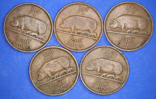GENUINE Collection 5 Irish Half Penny Pennies 1/2d EIRE Ireland coins, different dates, Sow & Piglets [11/24 31403]