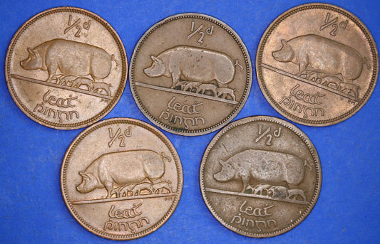 GENUINE Collection 5 Irish Half Penny Pennies 1/2d EIRE Ireland coins, different dates, Sow & Piglets [11/24 31404]