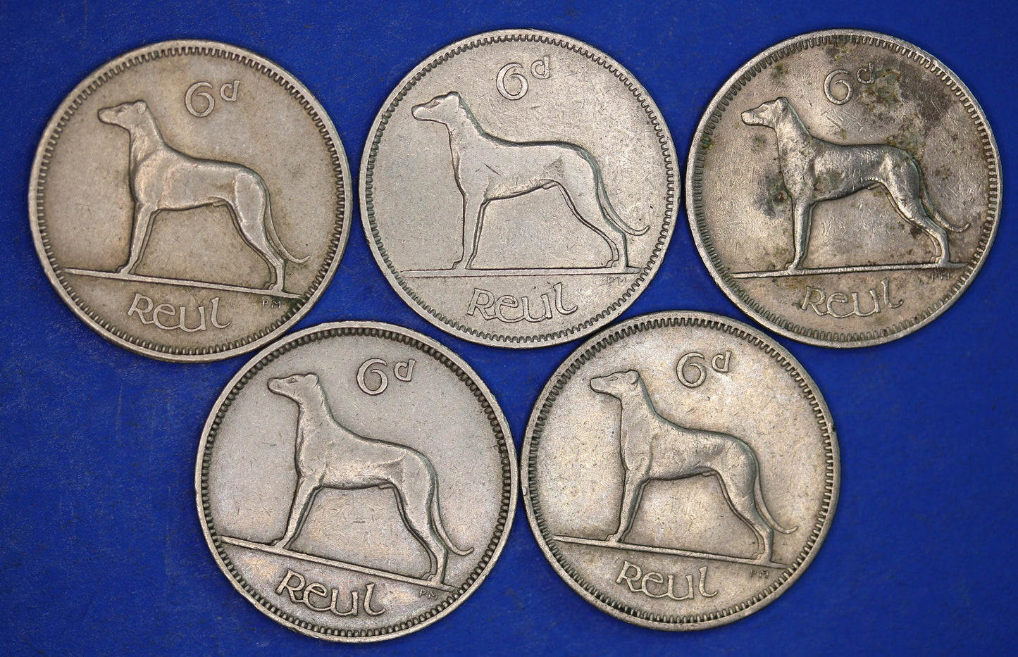 GENUINE 5 Irish Sixpences 6d Ireland EIRE Irish Wolfhound coins, various dates [11/24 31409]