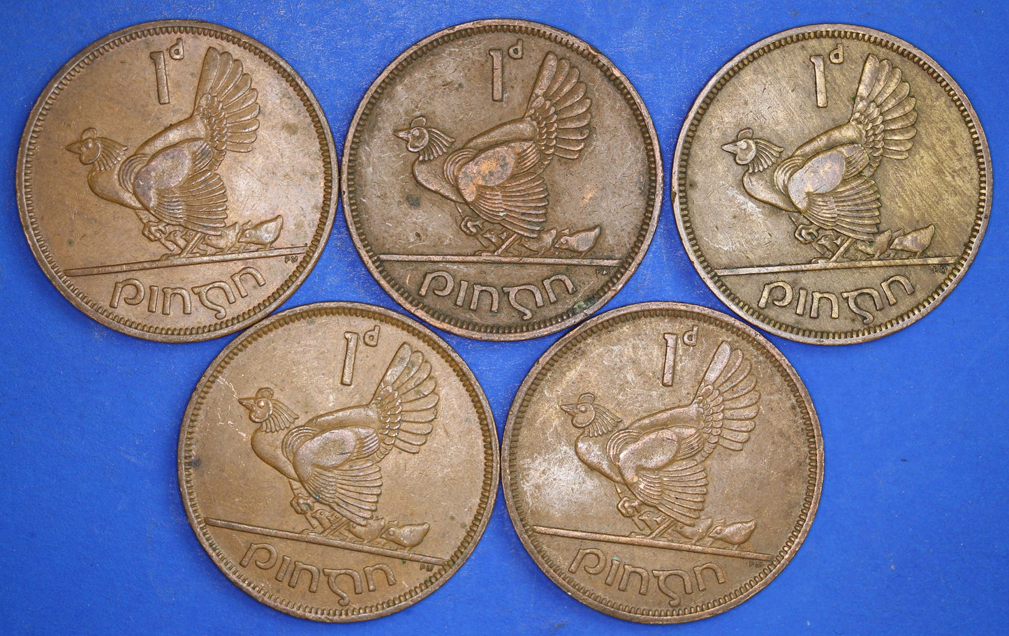 GENUINE Collection Irish Penny 1d EIRE Ireland coins, Hen with chicks, different dates [12/24 31690]