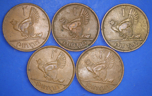GENUINE Collection Irish Penny 1d EIRE Ireland coins, Hen with chicks, different dates [12/24 31690]