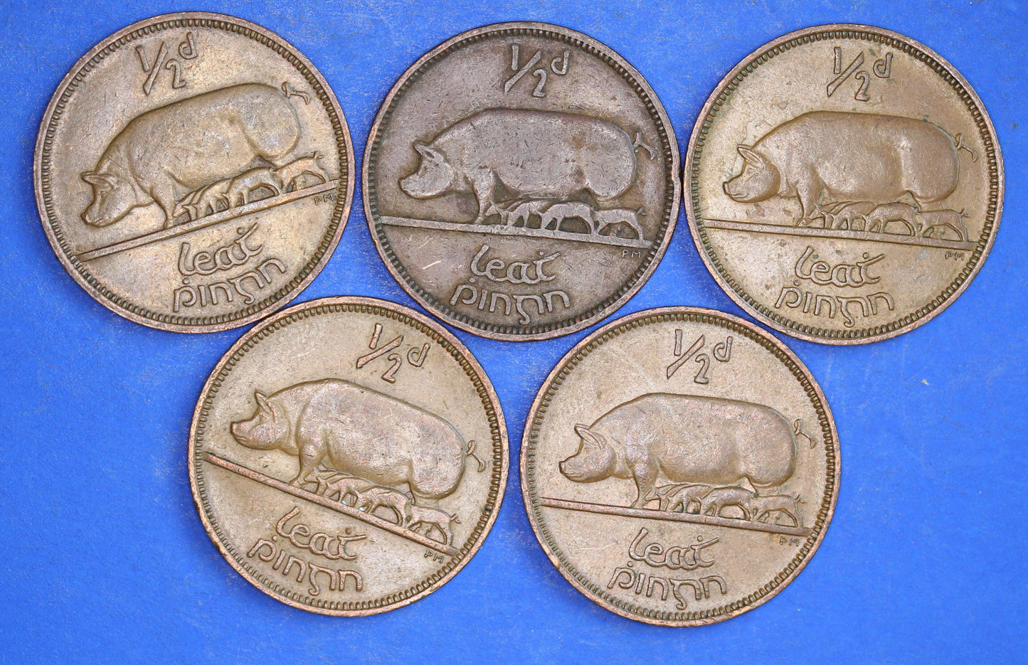 GENUINE Collection 5 Irish Half Penny Pennies 1/2d EIRE Ireland coins, different dates, Sow & Piglets [12/24 31694]