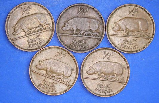 GENUINE Collection 5 Irish Half Penny Pennies 1/2d EIRE Ireland coins, different dates, Sow & Piglets [12/24 31694]
