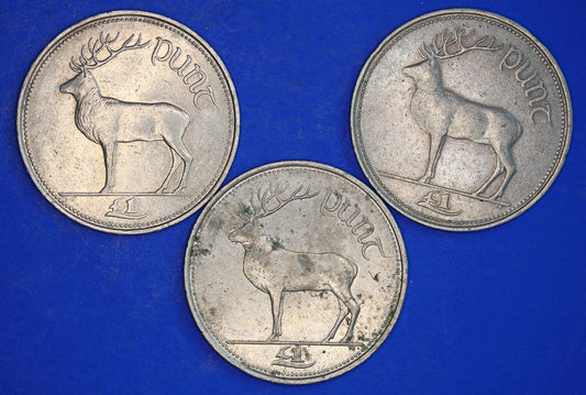 Collection Irish Ireland EIRE One Pound One Punt coins, Stag, different dates   [12/24 31698]