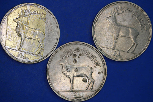 Collection Irish Ireland EIRE One Pound One Punt coins, Stag, different dates   [12/24 31699]