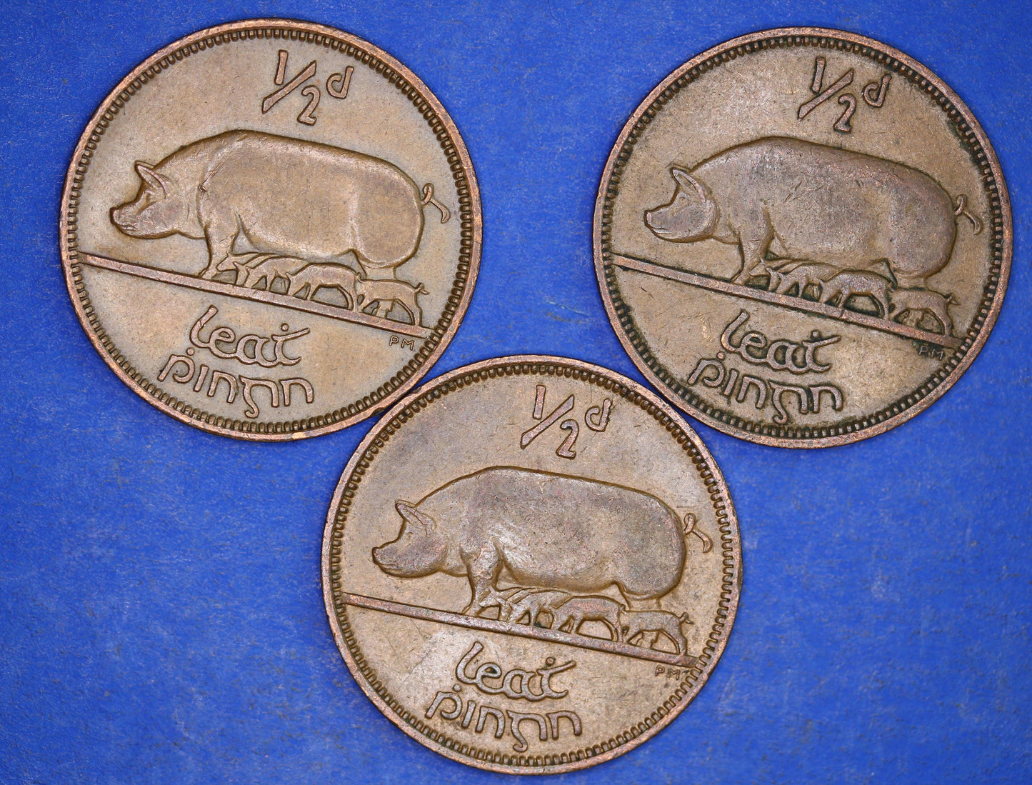 GENUINE Collection 3 Irish Half Penny Pennies 1/2d EIRE Ireland coins, different dates, Sow & Piglets [12/24 31709]