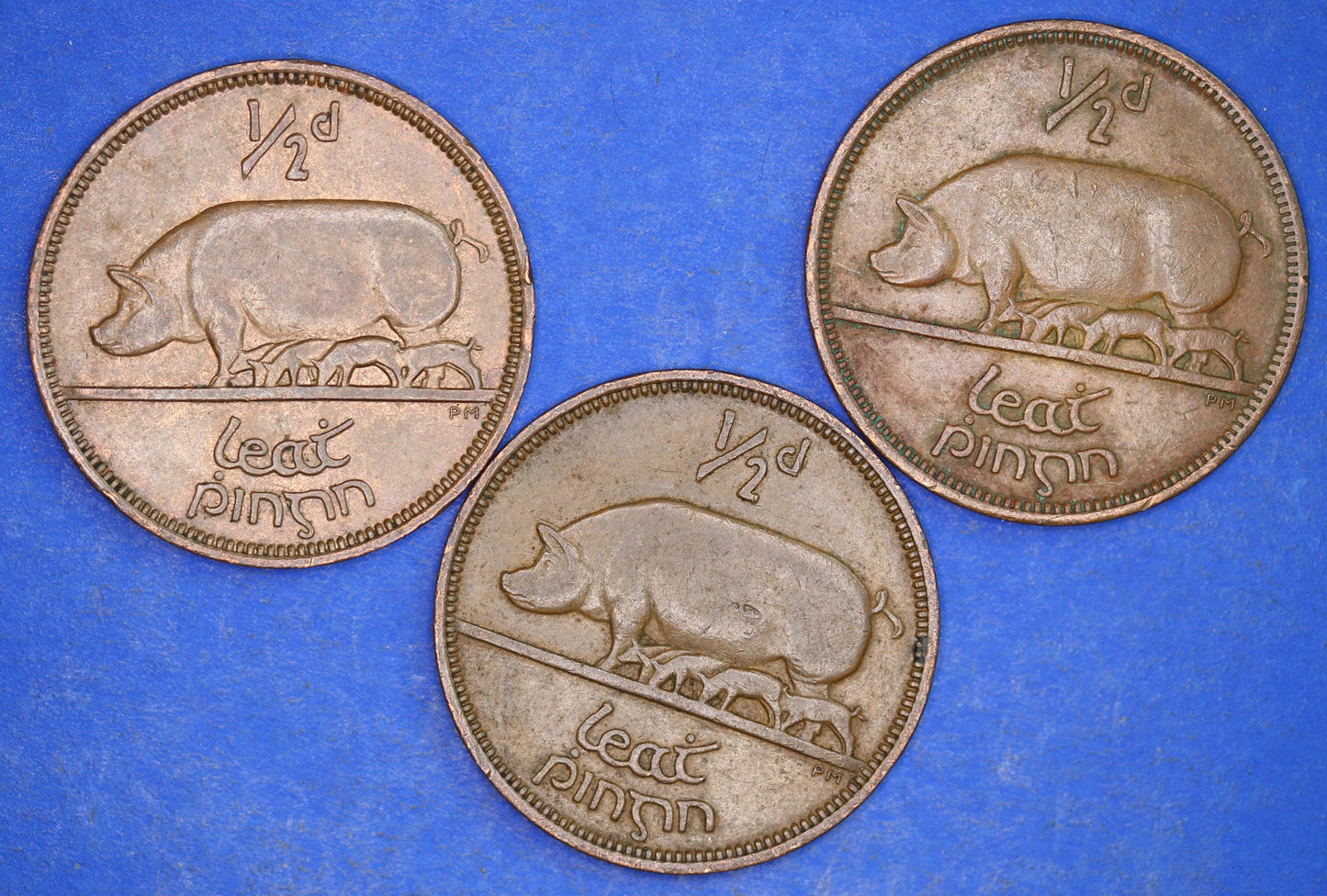 GENUINE Collection 3 Irish Half Penny Pennies 1/2d EIRE Ireland coins, different dates, Sow & Piglets [12/24 31712]