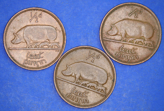 GENUINE Collection 3 Irish Half Penny Pennies 1/2d EIRE Ireland coins, different dates, Sow & Piglets [12/24 31712]