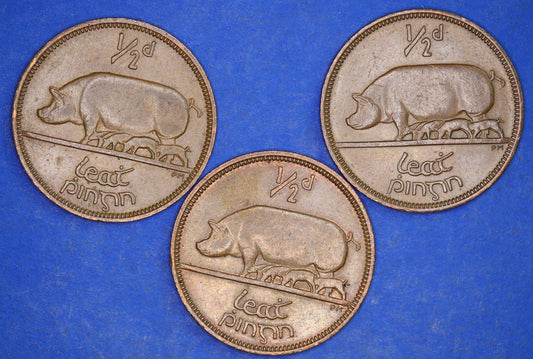 GENUINE Collection 3 Irish Half Penny Pennies 1/2d EIRE Ireland coins, different dates, Sow & Piglets [12/24 31713]