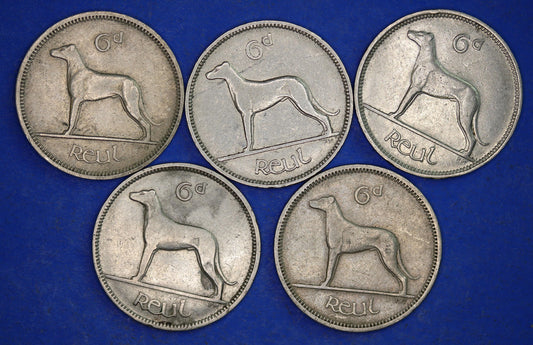 GENUINE 5 Irish Sixpences 6d Ireland EIRE Irish Wolfhound coins, various dates [01/25 31714]
