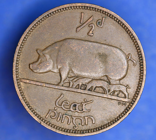 GENUINE 1953 Irish Half Penny Penny 1/2d EIRE Ireland coin, Sow & Piglets [01/25 31734]