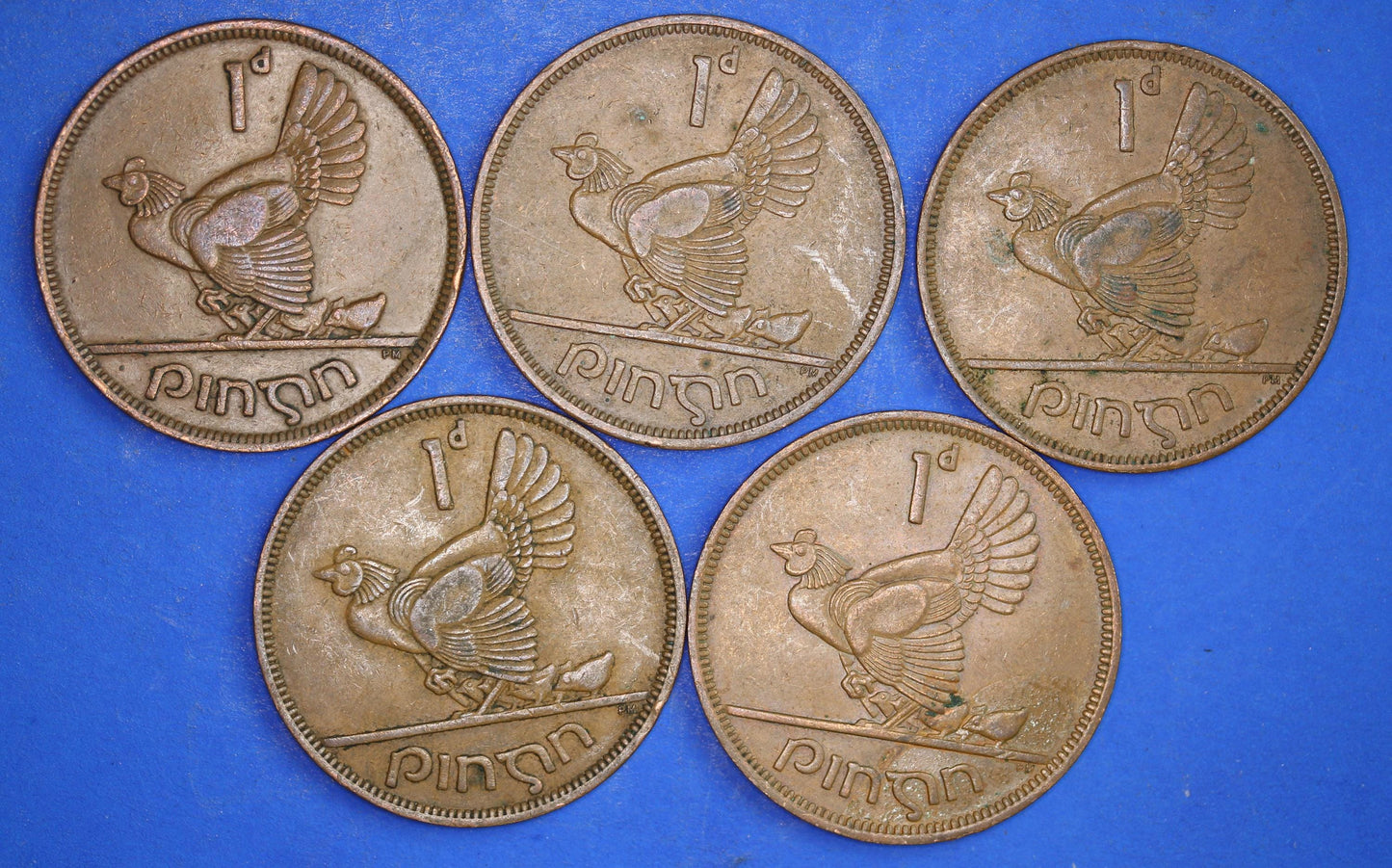 GENUINE Collection Irish Penny 1d EIRE Ireland coins, Hen with chicks, different dates [12/24 31691]