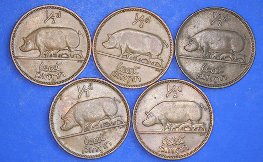GENUINE Collection 5 Irish Half Penny Pennies 1/2d EIRE Ireland coins, different dates, Sow & Piglets [12/24 31692]