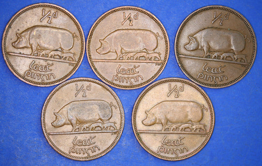 GENUINE Collection 5 Irish Half Penny Pennies 1/2d EIRE Ireland coins, different dates, Sow & Piglets [12/24 31708]