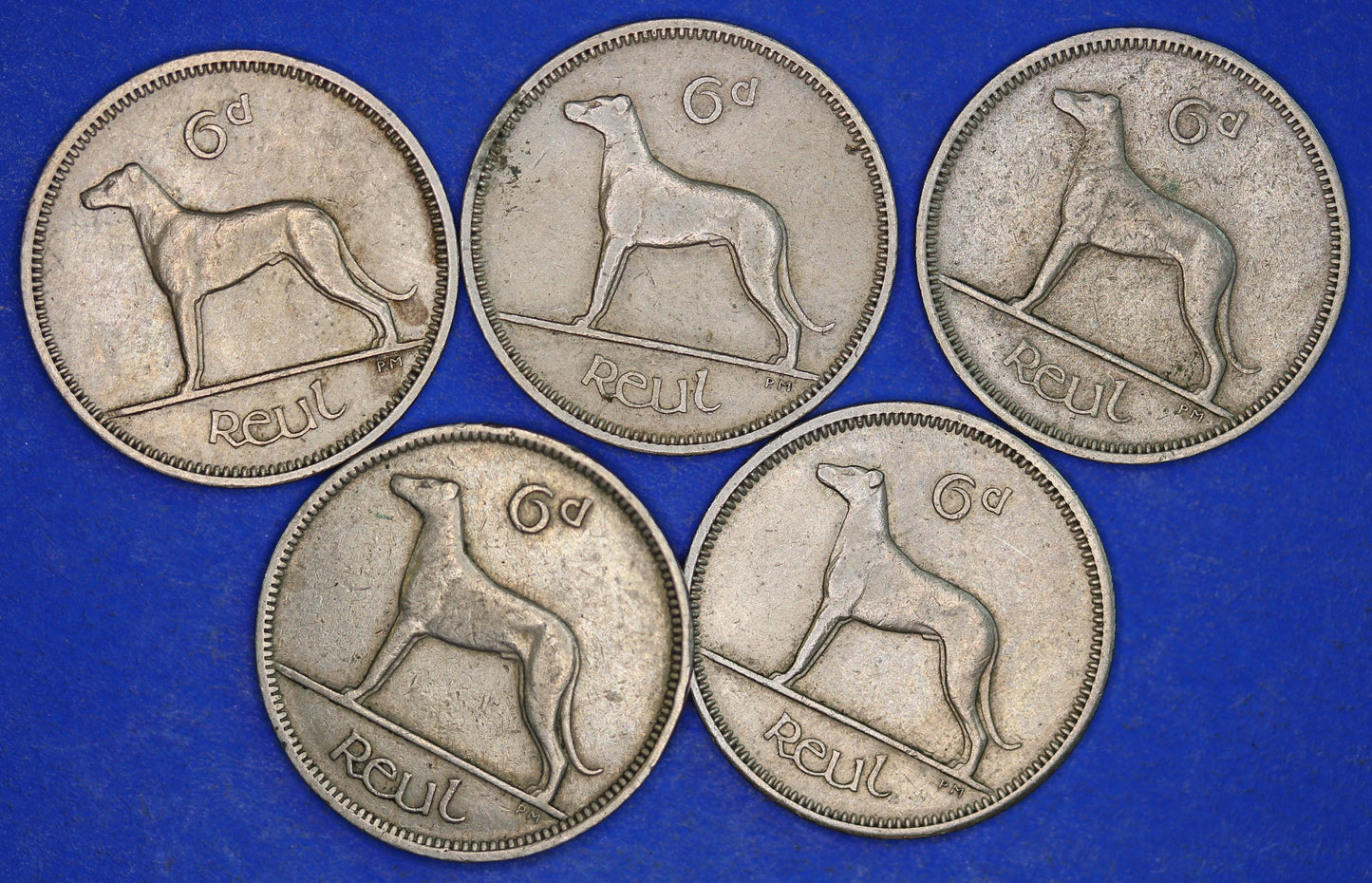 GENUINE 5 Irish Sixpences 6d Ireland EIRE Irish Wolfhound coins, various dates [01/25 31715]