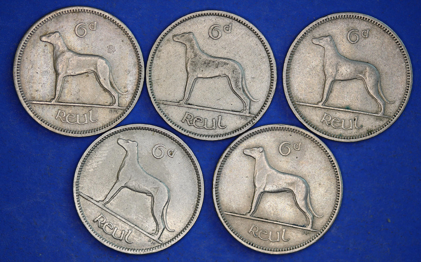 GENUINE 5 Irish Sixpences 6d Ireland EIRE Irish Wolfhound coins, various dates [01/25 31717]