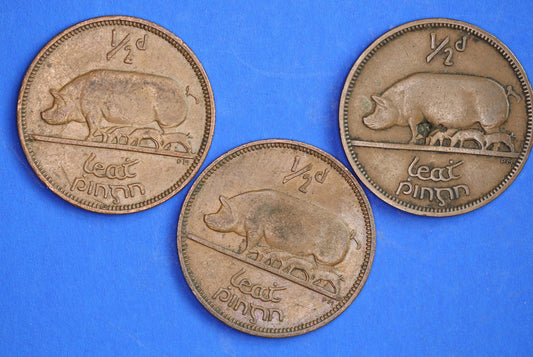 GENUINE Collection 3 Irish Half Penny Pennies 1/2d EIRE Ireland coins, different dates, Sow & Piglets [03/25 32275]