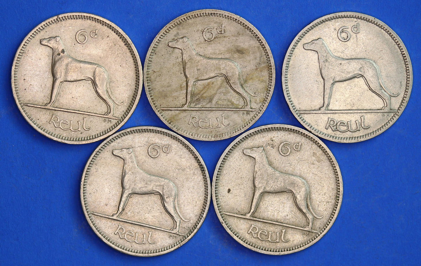 GENUINE 5 Irish Sixpences 6d Ireland EIRE Irish Wolfhound coins, various dates [03/25 32277]