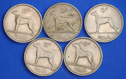 GENUINE 5 Irish Sixpences 6d Ireland EIRE Irish Wolfhound coins, various dates [03/25 32277]