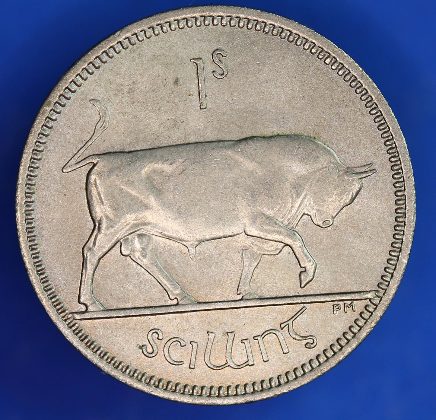 GENUINE 1968 Irish shilling Ireland EIRE higher grade coin, Bull Coin [03/25 32288]