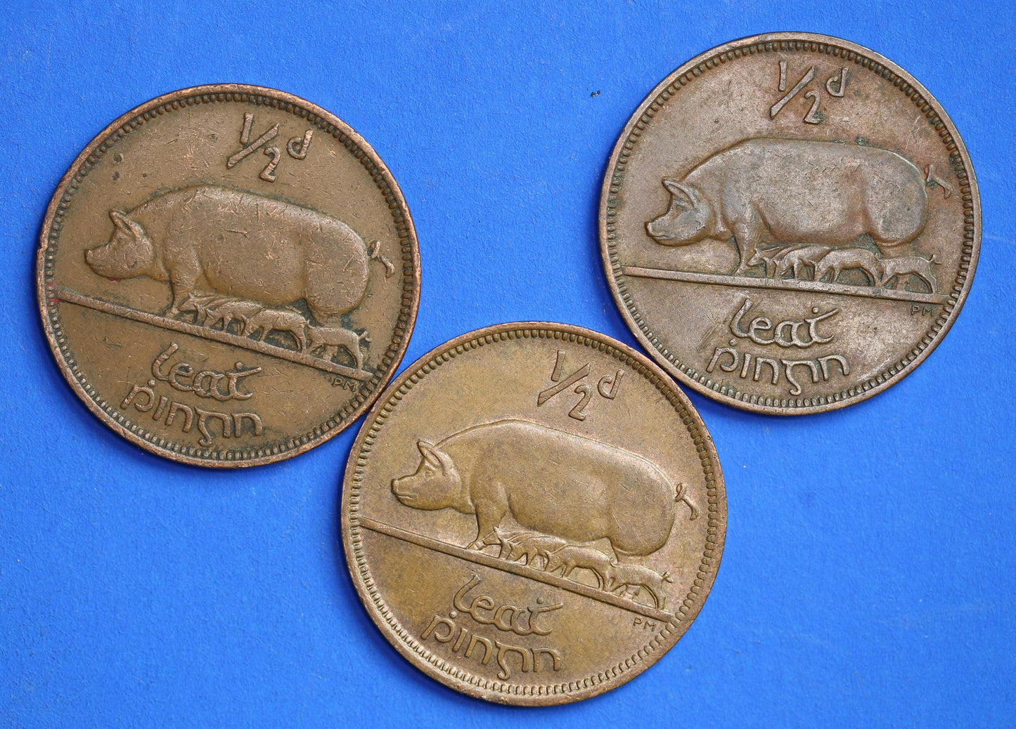 GENUINE Collection 3 Irish Half Penny Pennies 1/2d EIRE Ireland coins, different dates, Sow & Piglets [07/25 33017]