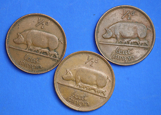 GENUINE Collection 3 Irish Half Penny Pennies 1/2d EIRE Ireland coins, different dates, Sow & Piglets [07/25 33017]