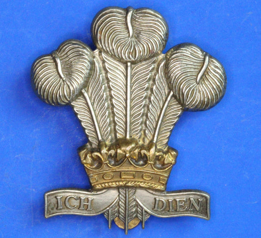 British Army Vintage World War 2 - Royal Regiment of Wales Bi-metallic Other Ranks cap badge        [09/25 33138]
