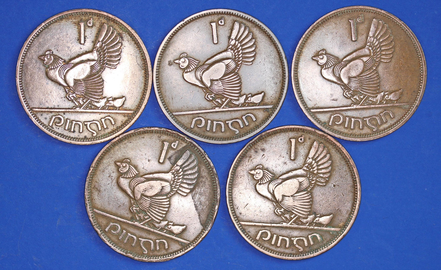 GENUINE Collection Irish Penny 1d EIRE Ireland coins, different dates, POLISED [09/25 33177]