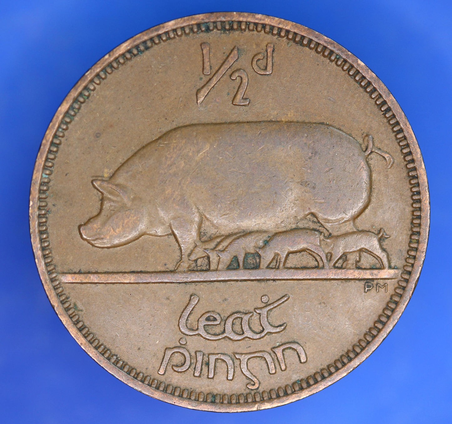 GENUINE 1953 Irish Half Penny 1/2d EIRE Ireland coin, Sow & Piglets [11/25 33611]