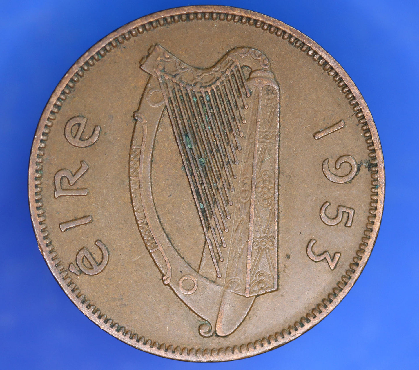 GENUINE 1953 Irish Half Penny 1/2d EIRE Ireland coin, Sow & Piglets [11/25 33611]