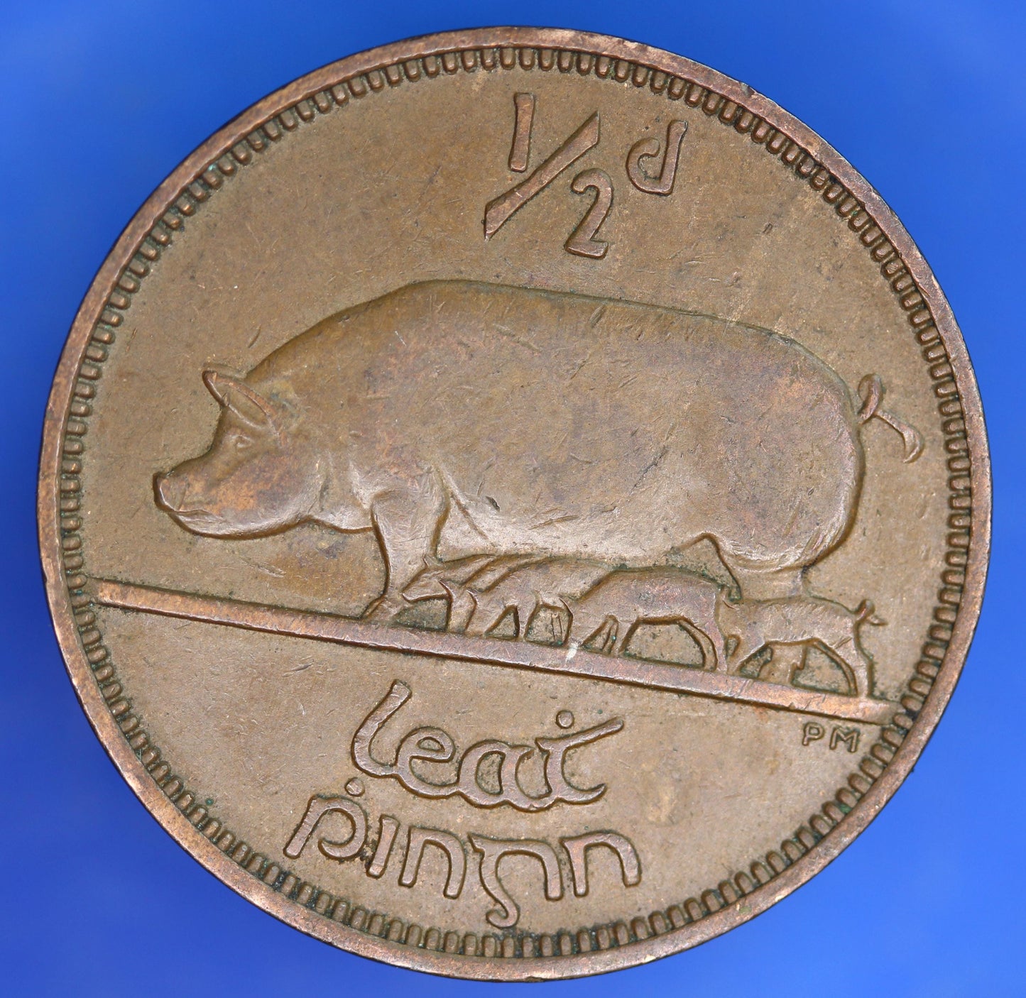GENUINE 1953 Irish Half Penny 1/2d EIRE Ireland coin, Sow & Piglets [11/25 33614]