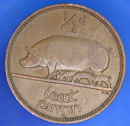 GENUINE 1953 Irish Half Penny 1/2d EIRE Ireland coin, Sow & Piglets [11/25 33614]