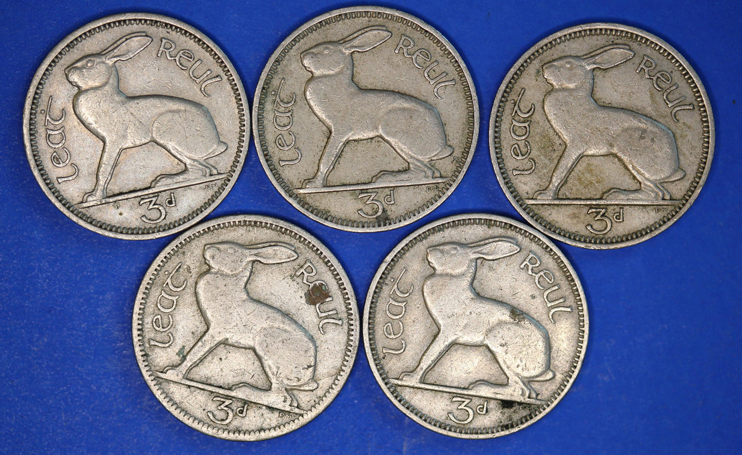 GENUINE 5 Irish Threepences 3d Ireland EIRE, Hare coins, various dates [12/25 33888]