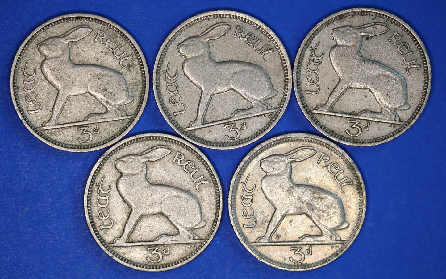 GENUINE 5 Irish Threepences 3d Ireland EIRE, Hare coins, various dates [12/25 33887]