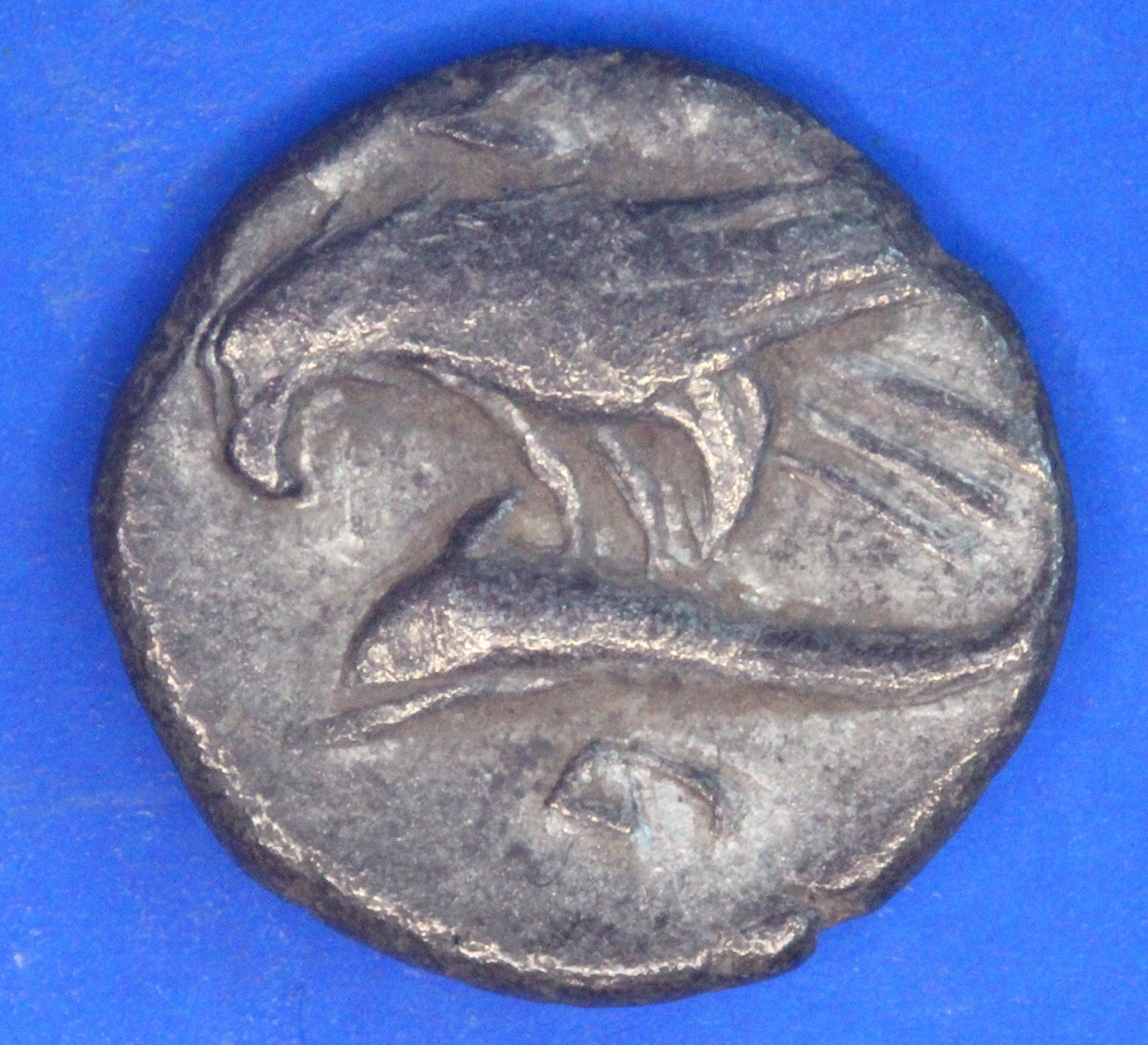 Greek Coin, Thrace, Drachm, ca. 313-280 BC, Istros, 15mm   [12/25 5505]