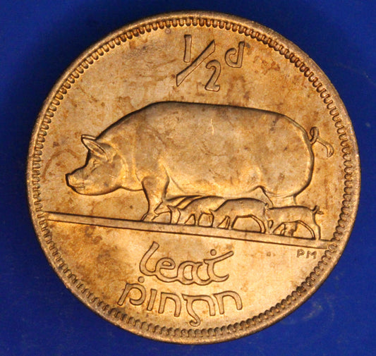 GENUINE 1967 Irish Half Penny Penny 1/2d EIRE Ireland coin, Sow & Piglets [02/26 34608]