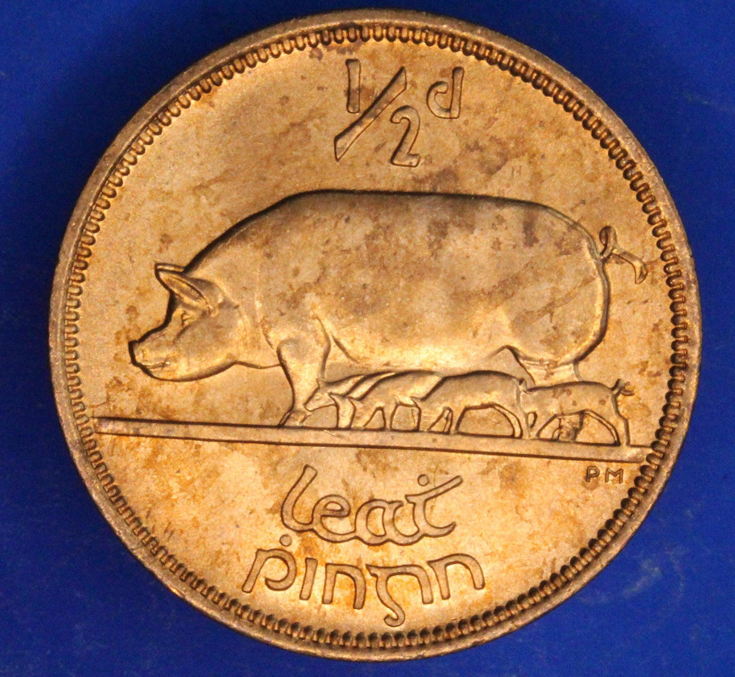 GENUINE 1967 Irish Half Penny Penny 1/2d EIRE Ireland coin, Sow & Piglets [02/26 34606]