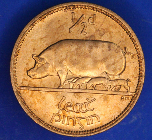 GENUINE 1967 Irish Half Penny Penny 1/2d EIRE Ireland coin, Sow & Piglets [02/26 34606]
